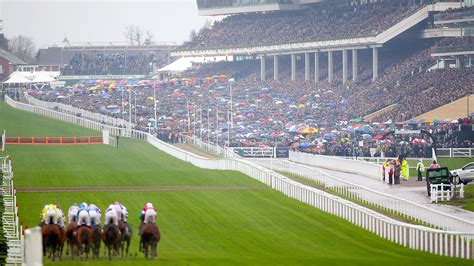 what does nb mean in horse racing|Horse Racing Terms and Jargon Buster .